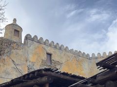 -奥兰多迪士尼动物王国乐园