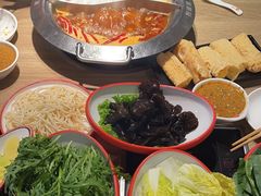-彤德莱火锅(商圣嘉源店)