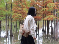 -白鹭湾湿地公园