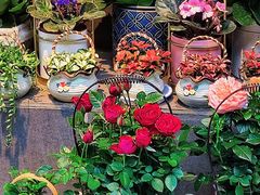 -循礼门鲜花花市(武汉循礼门店)