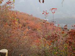 -周口店坡峰岭风景区