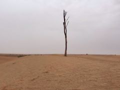 -迪拜沙漠冲沙