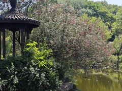 -日出青木·杭帮菜名店