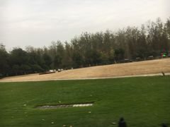 -合肥滨湖国家森林公园