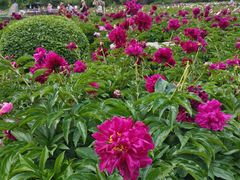 -黑龙江省森林植物园