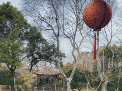 -上海醉白池公园