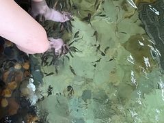 -天目湖涵田半山温泉