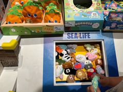 -沈阳海洋探索中心