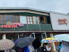 -前小桔亲子创意农场·草莓采摘·露营烧烤