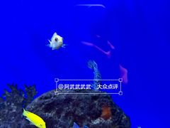 -避尘 Bsense·SPA(新会展总店)