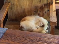 -老屋咖啡