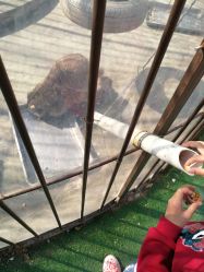 -萌宠亲子动物乐园(槐房万达店)