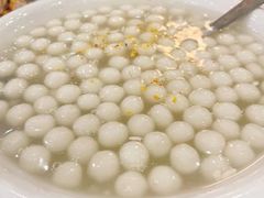 -老马家·舌尖上的西塘美食