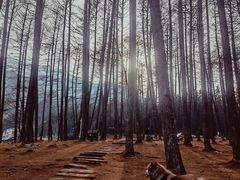 -硗碛藏寨·神木垒景区