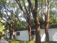 -上海醉白池公园