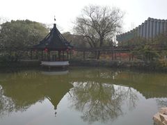 -上海醉白池公园