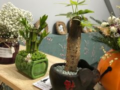 -ChaKo Flora ·茶子花艺 (市北店)