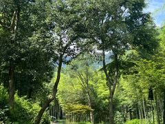 -黄公望隐居地
