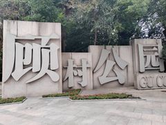 -顾村公园