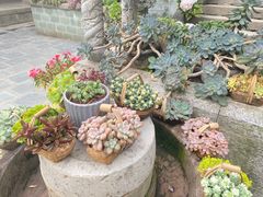 -寂照庵