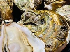 -烧蠔帮·生蚝海鲜牌档(观海店)