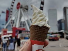 -富豪雪糕车流动点(尖沙咀店)