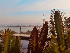 -希尔顿南海酒店·观廊大堂吧·海景下午茶