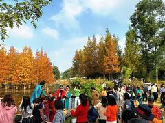 -白鹭湾湿地公园