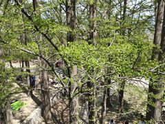 -阳台山自然风景区