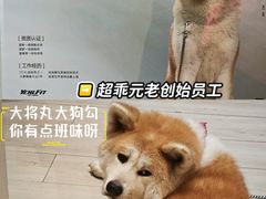 -YCHL Studios健身工作室(市二宫店)