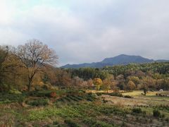 -塔川景区