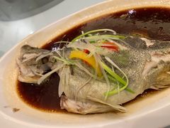 -宝园酒家(美林M·LIVE天地东座店)