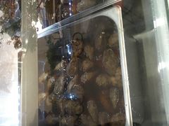 -鸿运兔·手撕烤兔(天府广场店)
