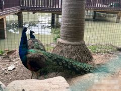 -揭东万竹园旅游景区