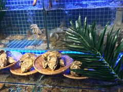 -必点海鲜·鲅鱼水饺(鞍山西道店)