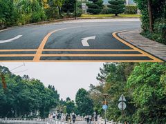 -深圳仙湖植物园