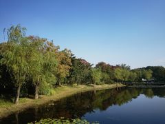 -长广溪湿地公园