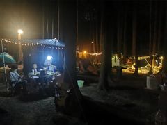 -武陵山森林公园