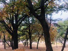 -青岛德国总督楼旧址博物馆
