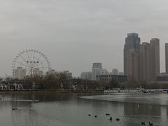 -天津水上公园