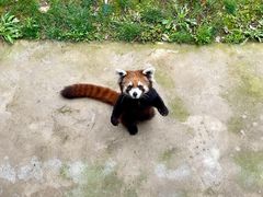 -杭州野生动物世界