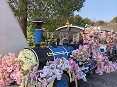 -上海鲜花港