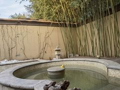 -春晖园度假酒店温泉