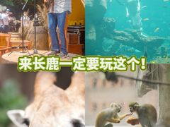 -长鹿旅游休博园