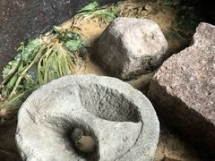 -鄞州雪菜博物馆