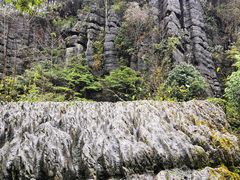 -梭布垭石林景区