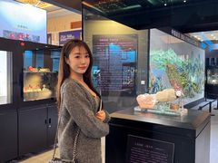 -天津梅江会展中心