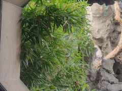 -东吴面馆(因果巷店)