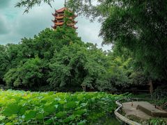 -柳侯公园