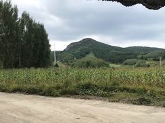 -玉泉威虎山森林公园